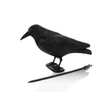 Kép 1/5 - Mű varjú ( BIRD DETERRENT )