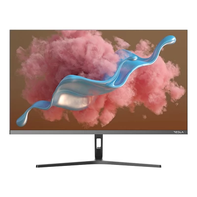 Tesla Monitor 24" - Full HD, IPS, 100Hz SZÜRKE